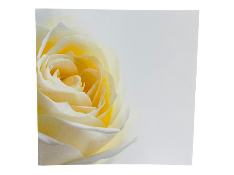 product image for Card Cream White Rose 