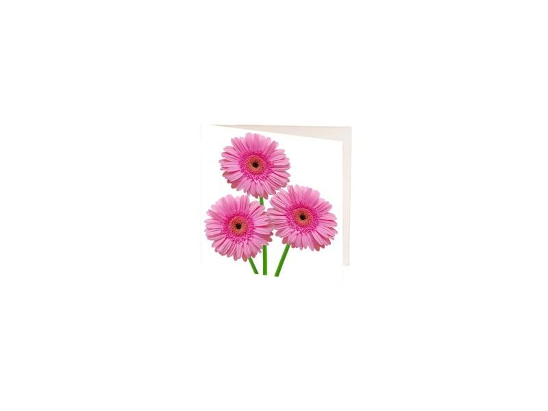 product image for Card Pink Gerbera