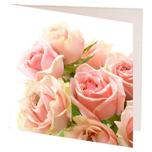 image of Card Creamy light Pink Roses 