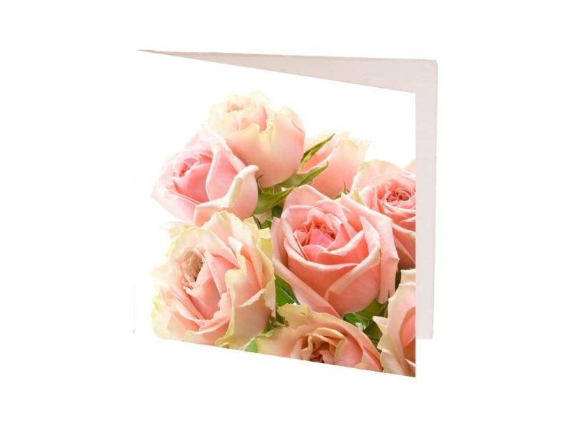 product image for Card Creamy light Pink Roses 